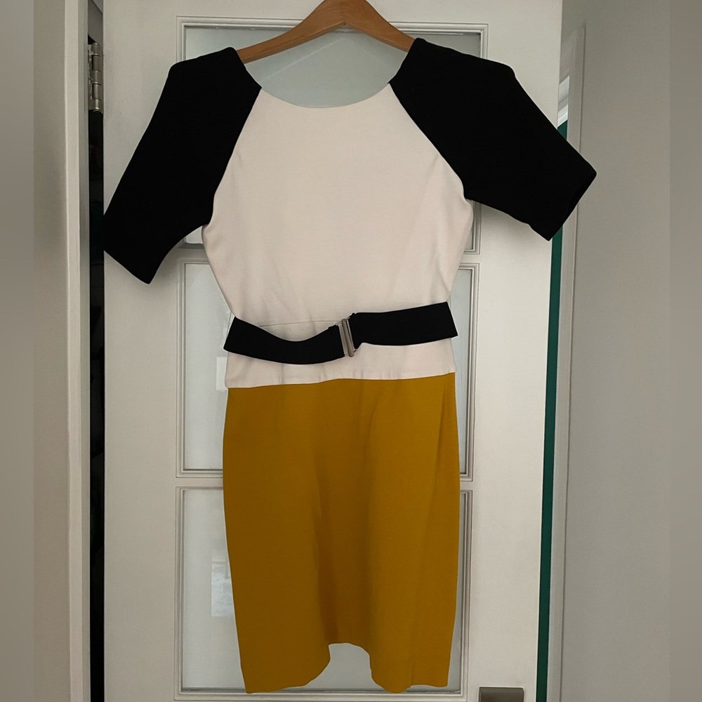 BCBG Max Azria Cocktail Dress